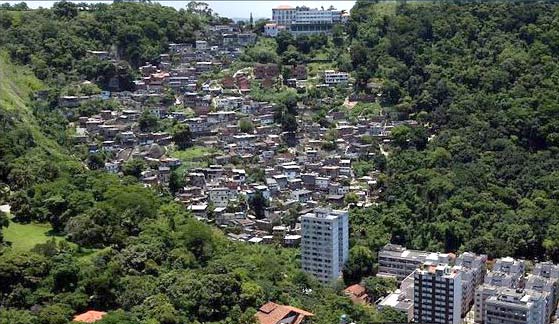 Favela Pereirao